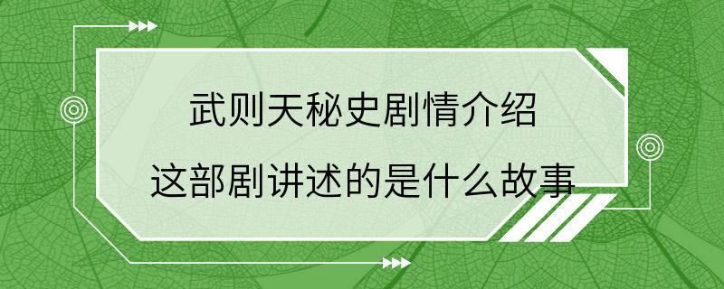 武则天秘史剧情介绍 这部剧讲述的是什么故事