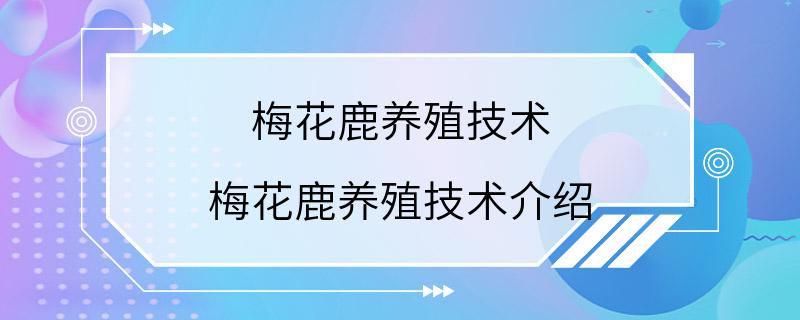 梅花鹿养殖技术 梅花鹿养殖技术介绍