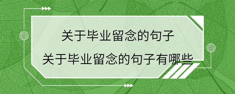 关于毕业留念的句子 关于毕业留念的句子有哪些