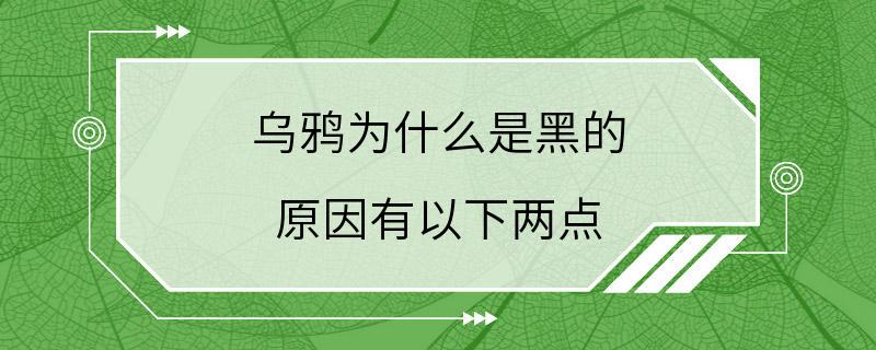 乌鸦为什么是黑的 原因有以下两点