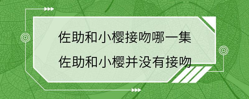 佐助和小樱接吻哪一集 佐助和小樱并没有接吻