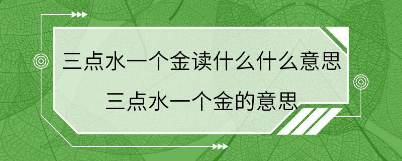 三点水一个金读什么什么意思 三点水一个金的意思