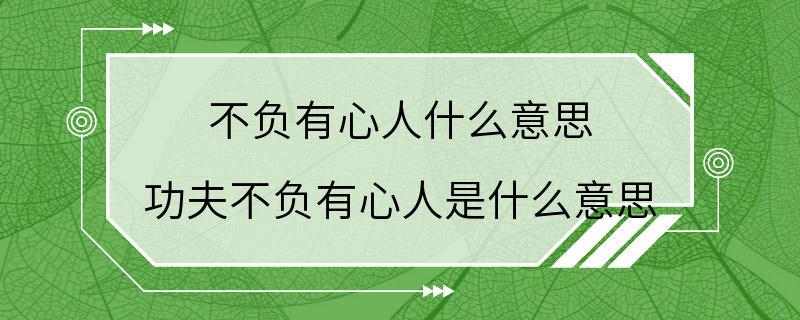 不负有心人什么意思 功夫不负有心人是什么意思