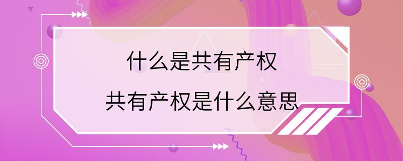 什么是共有产权 共有产权是什么意思