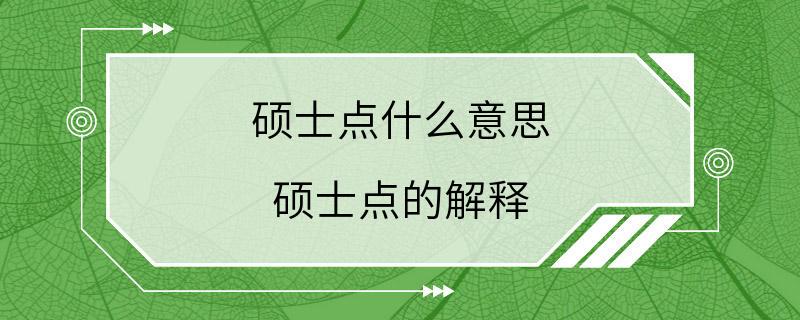 硕士点什么意思 硕士点的解释