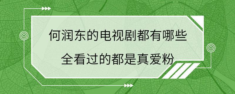 何润东的电视剧都有哪些 全看过的都是真爱粉