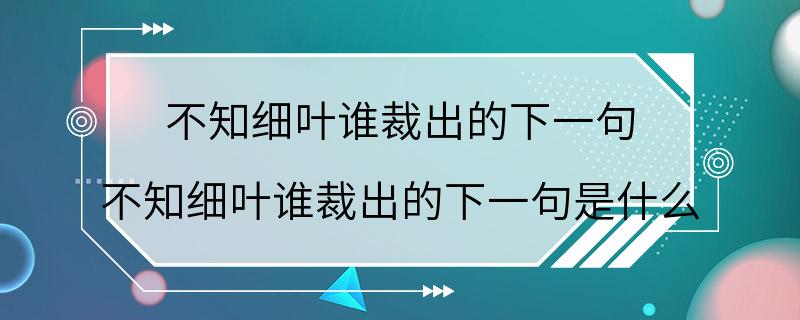 不知细叶谁裁出的下一句 不知细叶谁裁出的下一句是什么