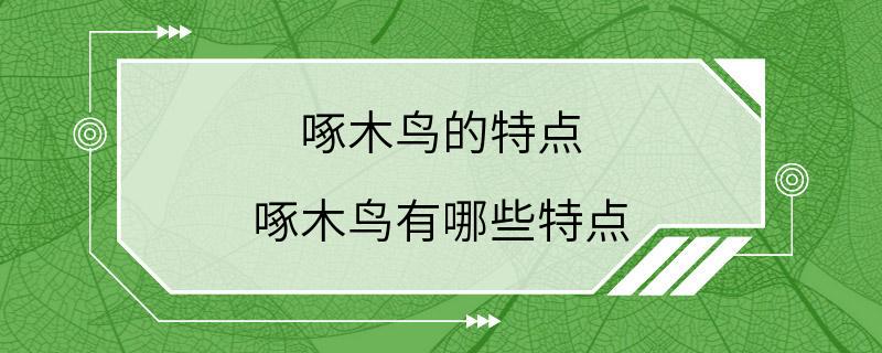 啄木鸟的特点 啄木鸟有哪些特点