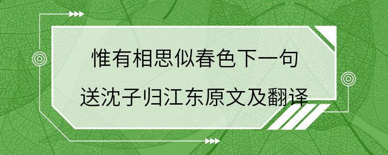 惟有相思似春色下一句 送沈子归江东原文及翻译