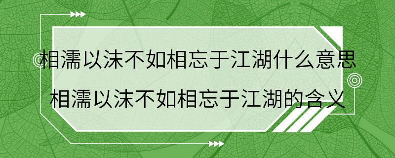 相濡以沫不如相忘于江湖什么意思 相濡以沫不如相忘于江湖的含义