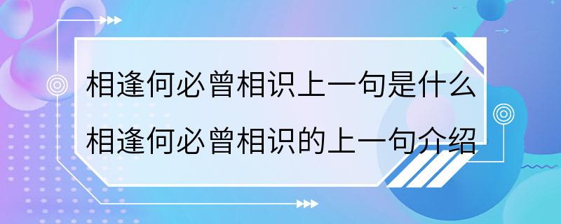 相逢何必曾相识上一句是什么 相逢何必曾相识的上一句介绍