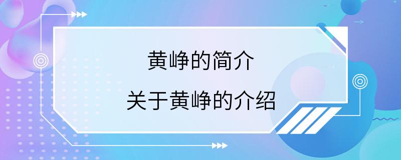 黄峥的简介 关于黄峥的介绍