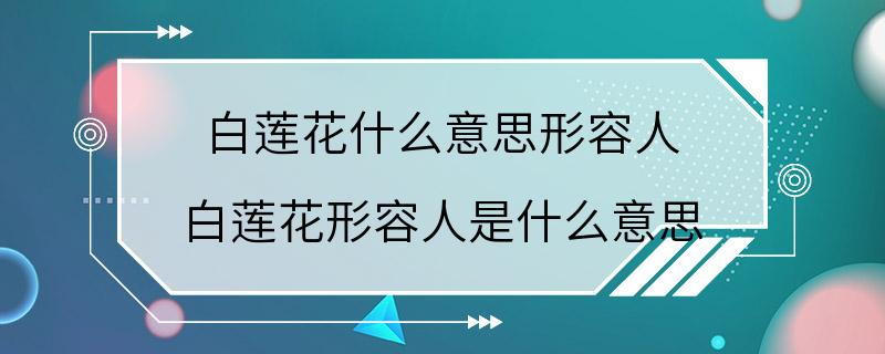 白莲花什么意思形容人 白莲花形容人是什么意思