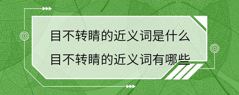 目不转睛的近义词是什么 目不转睛的近义词有哪些