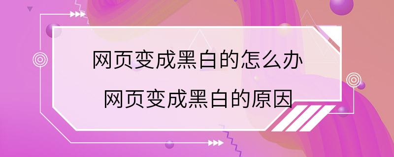 网页变成黑白的怎么办 网页变成黑白的原因