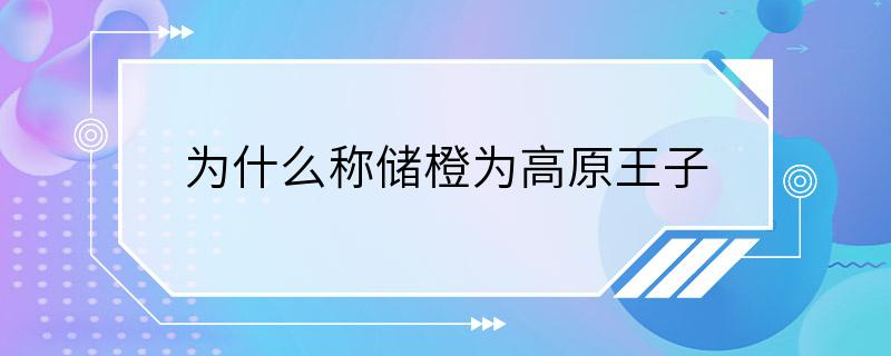 为什么称储橙为高原王子