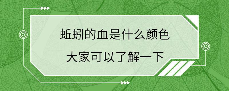 蚯蚓的血是什么颜色 大家可以了解一下