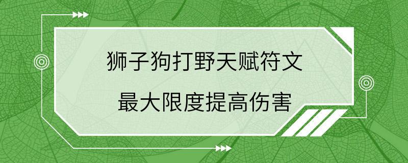 狮子狗打野天赋符文 最大限度提高伤害