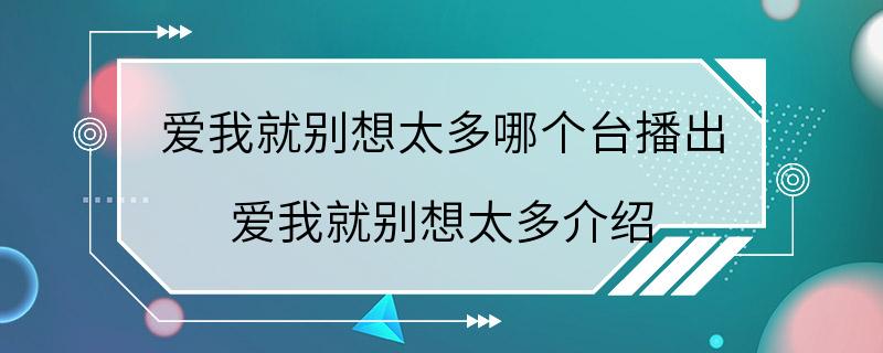 爱我就别想太多哪个台播出 爱我就别想太多介绍