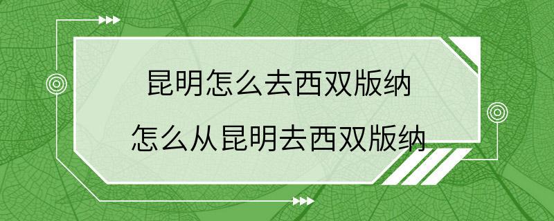 昆明怎么去西双版纳 怎么从昆明去西双版纳