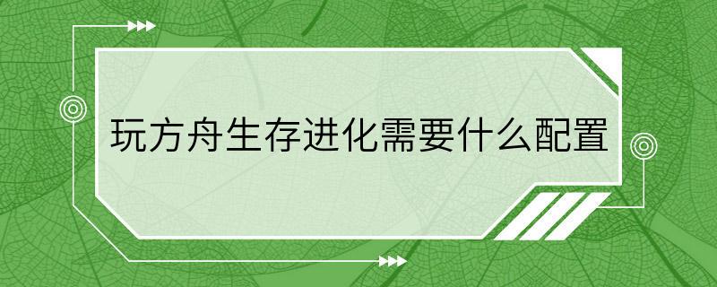 玩方舟生存进化需要什么配置