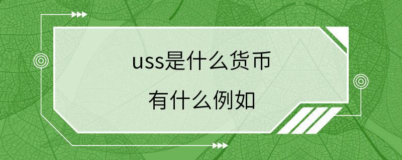 uss是什么货币 有什么例如