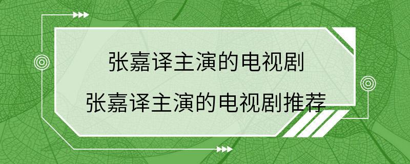 张嘉译主演的电视剧 张嘉译主演的电视剧推荐