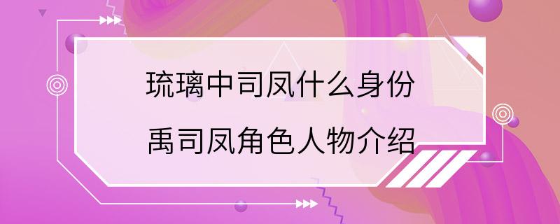 琉璃中司凤什么身份 禹司凤角色人物介绍