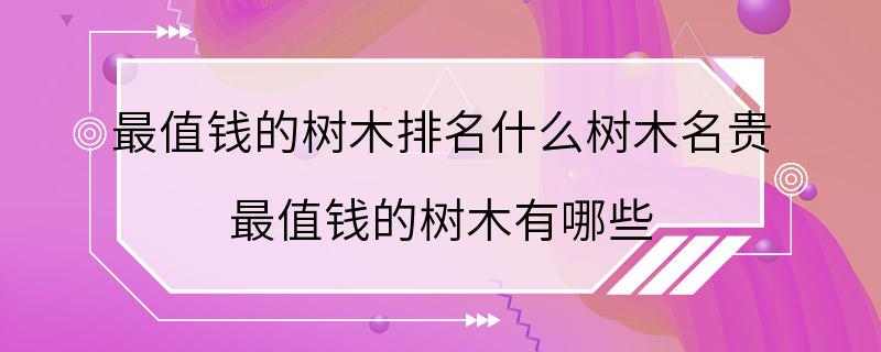 最值钱的树木排名什么树木名贵 最值钱的树木有哪些