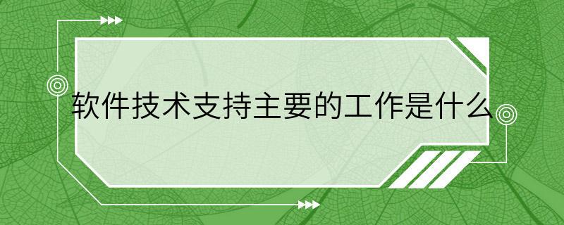 软件技术支持主要的工作是什么