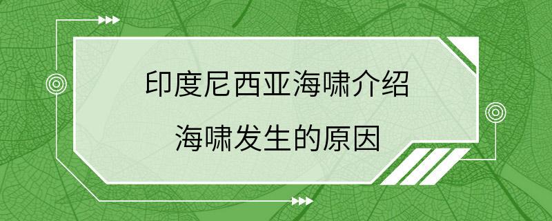 印度尼西亚海啸介绍 海啸发生的原因