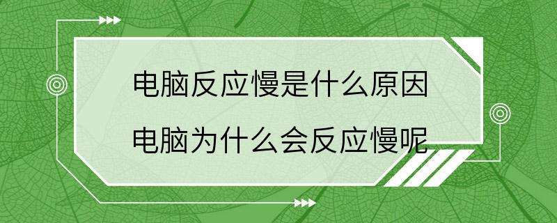 电脑反应慢是什么原因 电脑为什么会反应慢呢