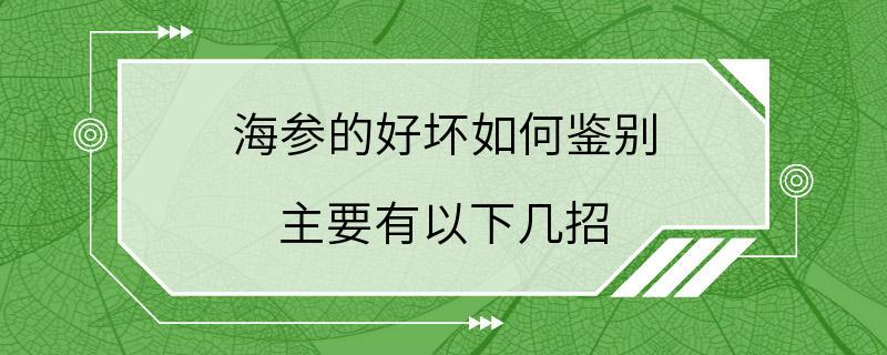 海参的好坏如何鉴别 主要有以下几招