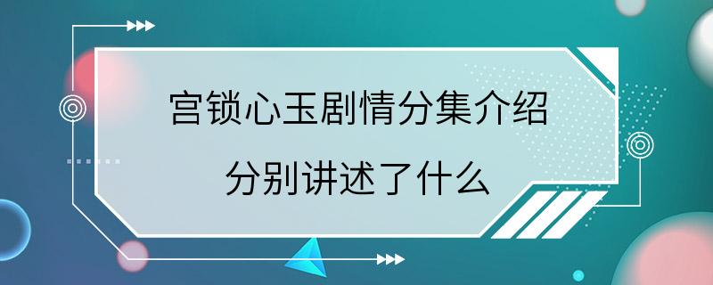 宫锁心玉剧情分集介绍 分别讲述了什么