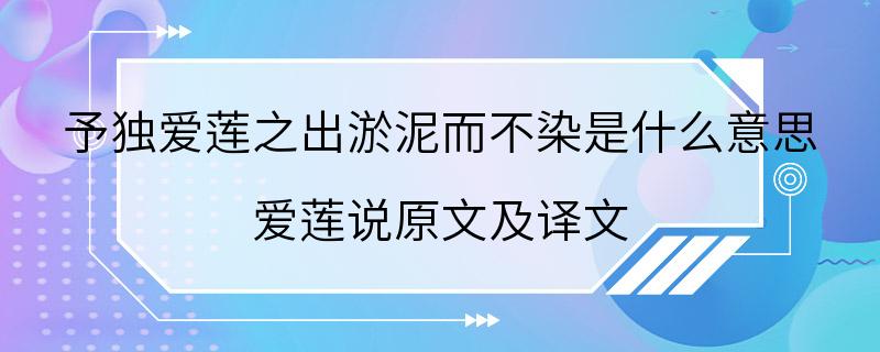 予独爱莲之出淤泥而不染是什么意思 爱莲说原文及译文