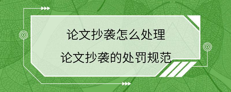 论文抄袭怎么处理 论文抄袭的处罚规范