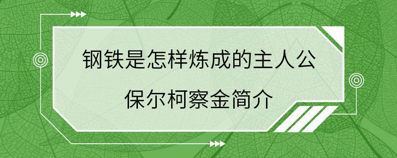 钢铁是怎样炼成的主人公 保尔柯察金简介