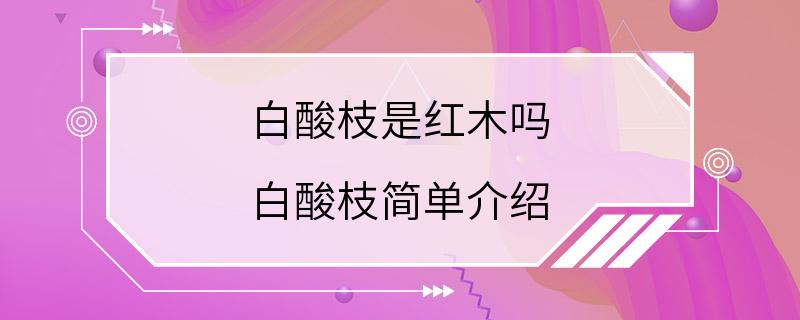 白酸枝是红木吗 白酸枝简单介绍