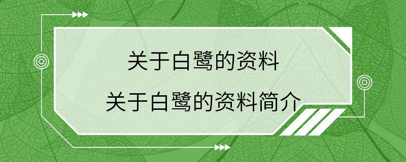 关于白鹭的资料 关于白鹭的资料简介