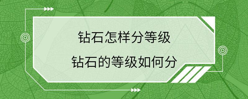 钻石怎样分等级 钻石的等级如何分