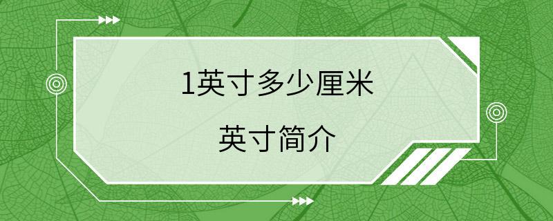 1英寸多少厘米 英寸简介