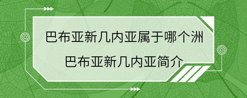 巴布亚新几内亚属于哪个洲 巴布亚新几内亚简介