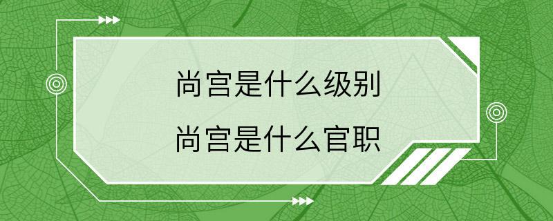 尚宫是什么级别 尚宫是什么官职