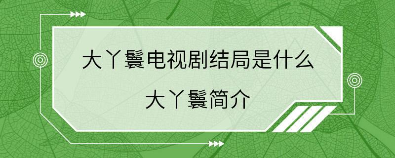 大丫鬟电视剧结局是什么 大丫鬟简介