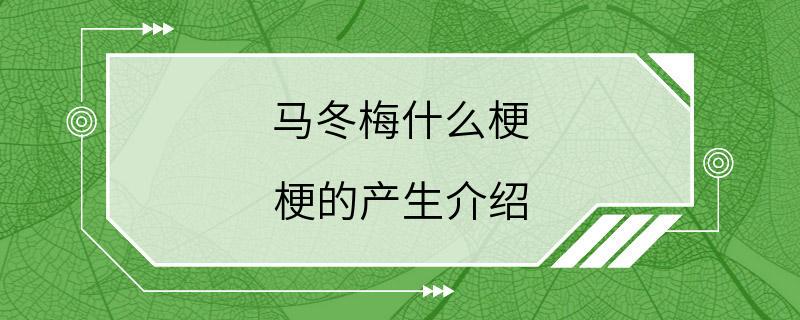 马冬梅什么梗 梗的产生介绍