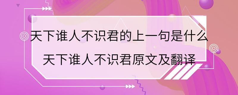 天下谁人不识君的上一句是什么 天下谁人不识君原文及翻译