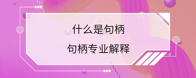 什么是句柄 句柄专业解释