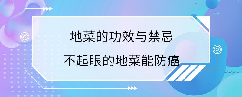 地菜的功效与禁忌 不起眼的地菜能防癌