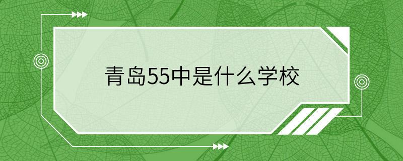 青岛55中是什么学校