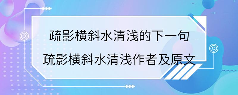 疏影横斜水清浅的下一句 疏影横斜水清浅作者及原文